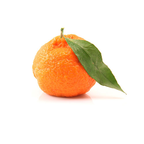 mandarino biologico